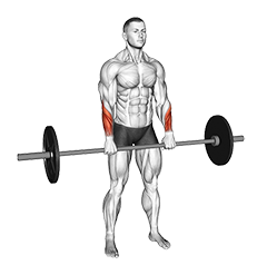 نمایش حرکت مچ‌برعکس ایستاده با هالتر