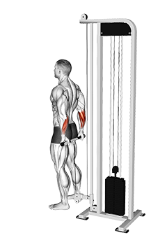 نمایش حرکت کول مچ دست معکوس ایستاده با سیم‌کش