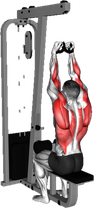 Cable Lateral Pulldown with Mag Grip