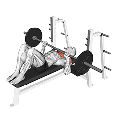 Barbell Feet Flat Bench Press (male)