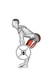 Barbell Deadlift (side POV) (male)