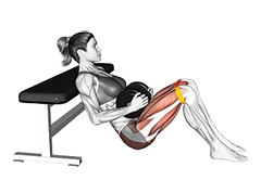 Dumbbell Banded Hip Thrust (female)