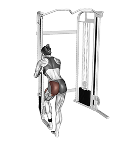 Cable Donkey Diagonal Kickback (female)