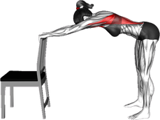 Lat Stretch with Chair