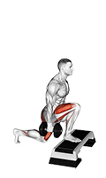 Dumbbell Reverse Lunge from Deficit (male)