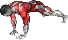 Wide Plank Side Tap