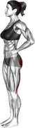 Standing Alternate Glute Kickback