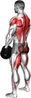 Dumbbell Romanian Deadlift to Bent Over Row