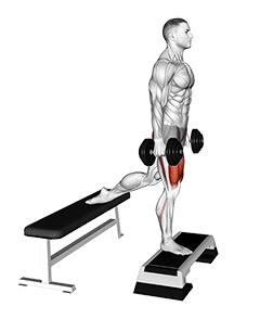 Dumbell Bulgarian Split Squat from Deficit (male)