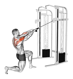 Cable Half Kneeling Face Pull