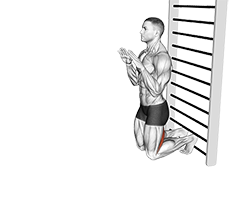 Nordic Hamstring Curl (male)