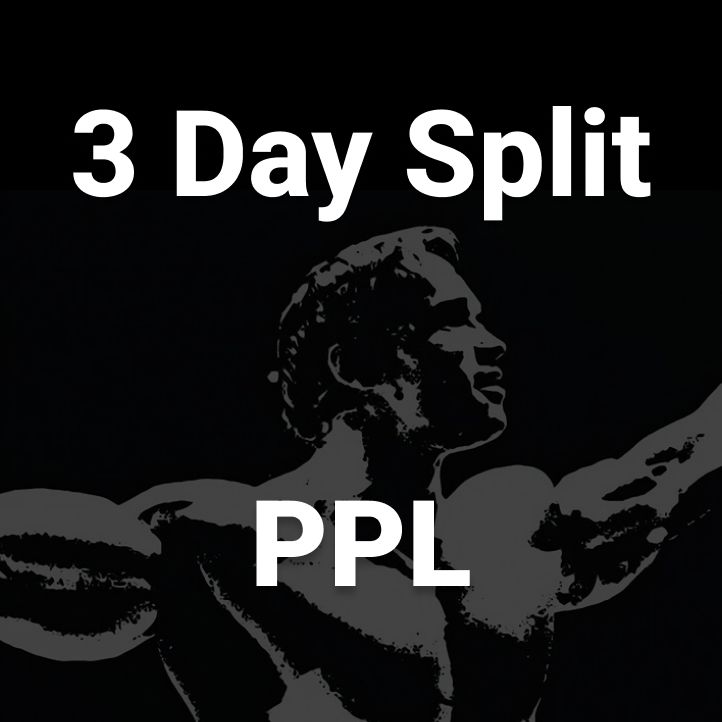 Workout plan: Arnold PPL