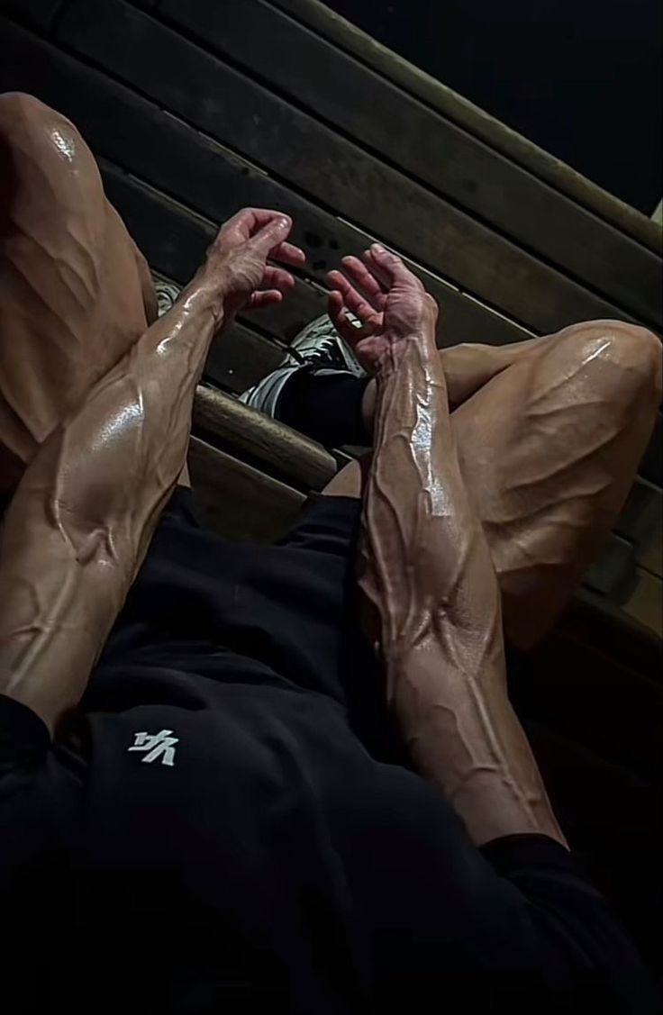 Workout plan: Lotfy PPL split