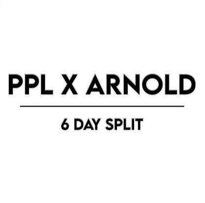 Workout plan: PPL x Arnold Split