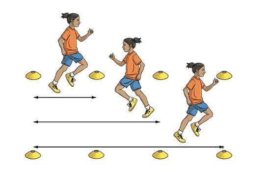 Shuttle Runs